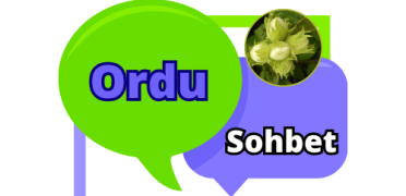 Ordu Sohbet Odaları